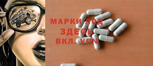 крисы Богородицк