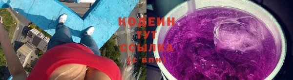 крисы Богородицк