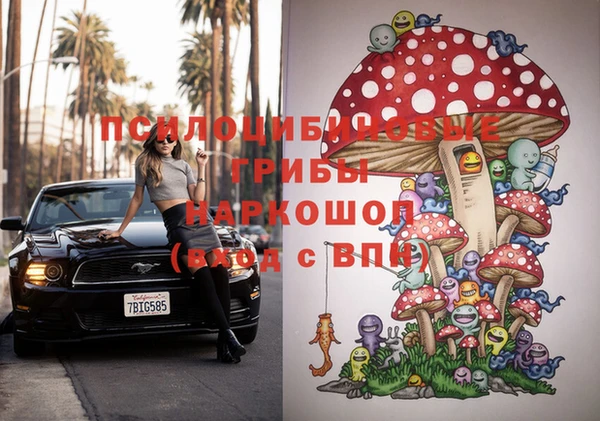 крисы Богородицк