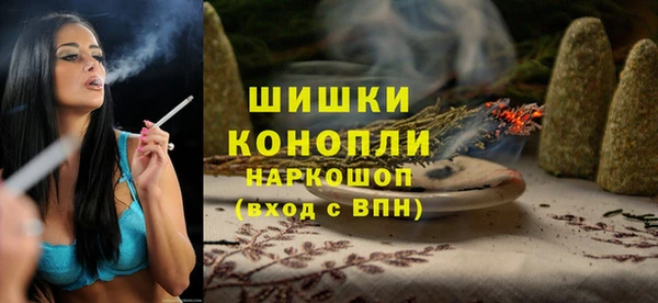 крисы Богородицк