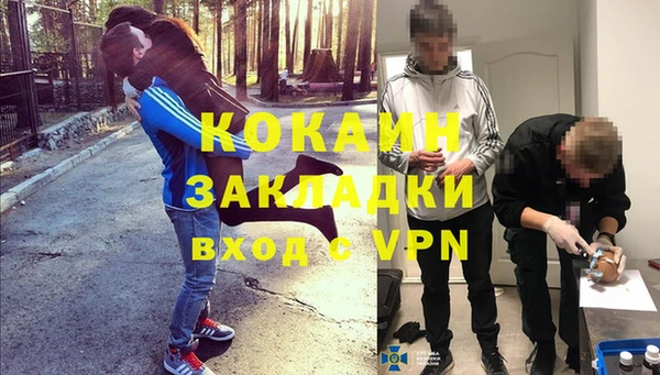крисы Богородицк