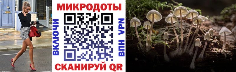 Галлюциногенные грибы GOLDEN TEACHER Мостовской